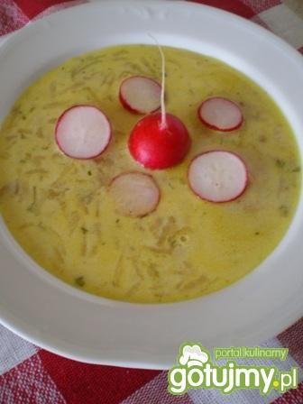 Zupa rzodkiewkowa Zupa rzodkiewkowa