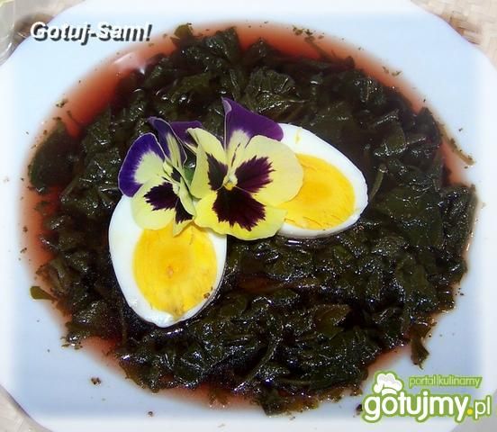 Zupa rzodkiewkowa a la botwinka  Zupa rzodkiewkowa a la botwinka