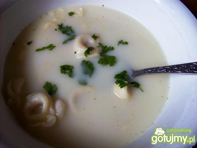 Zupa serkowa z tortellini  Zupa serkowa z tortellini