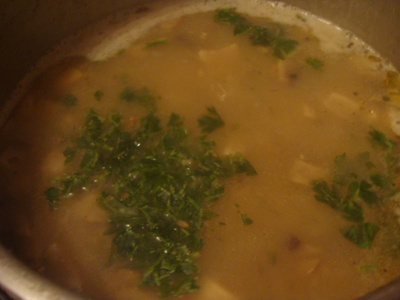 Zupa serowo pieczarkowa z łazankami