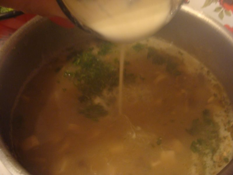Zupa serowo pieczarkowa z łazankami