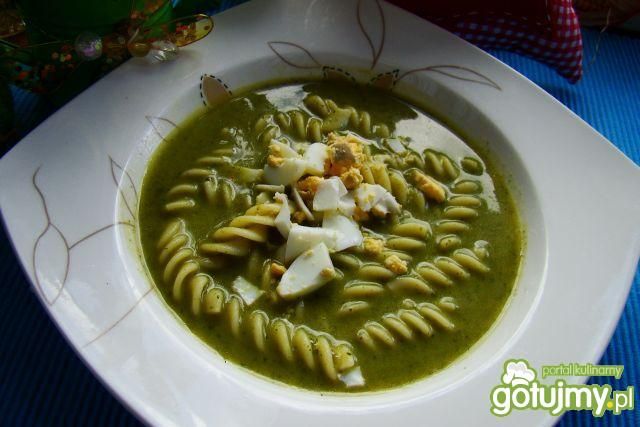 Zupa Shreka - szpinakowa z makaronem  Zupa Shreka - szpinakowa z makaronem