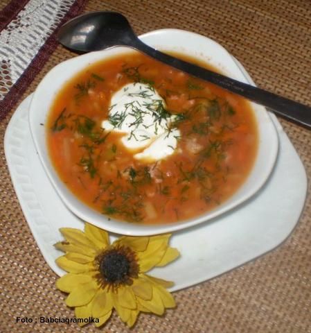 Zupa śmieciuszka pomidorowa Niani  Zupa śmieciuszka pomidorowa Niani