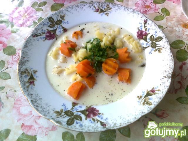 Zupa śmietanowo-jarzynowa
