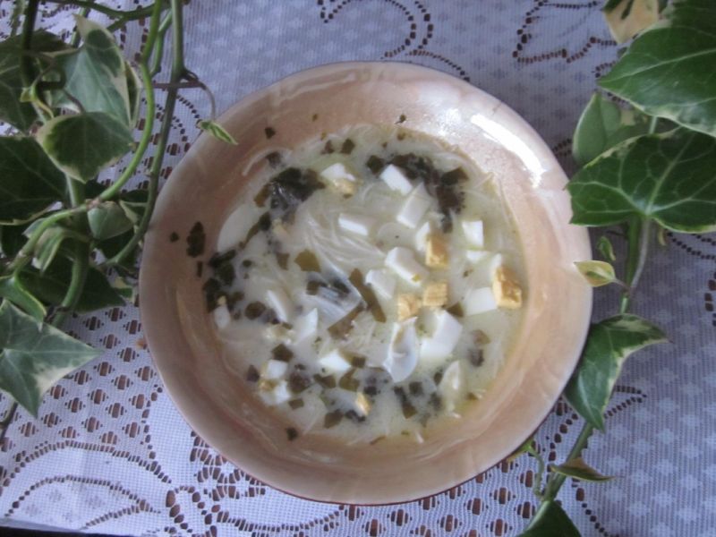 Zupa szczawiowa Zupa szczawiowa