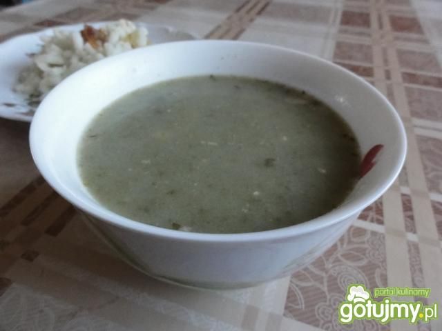 Zupa szczawiowa Zupa szczawiowa