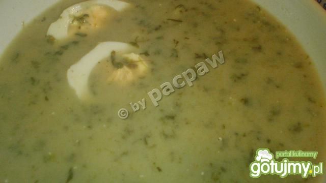 Zupa szczawiowa na rosole drobiowym