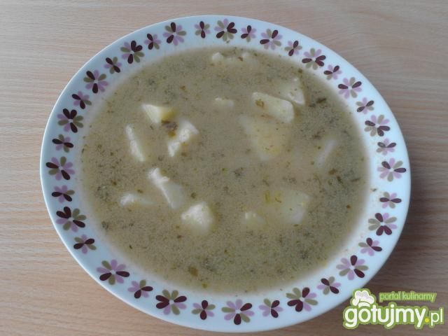 Zupa szczawiowa (szczawiówka) Zupa szczawiowa (szczawiówka)