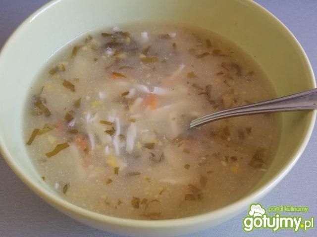 Zupa szczawiowa z jajem 3