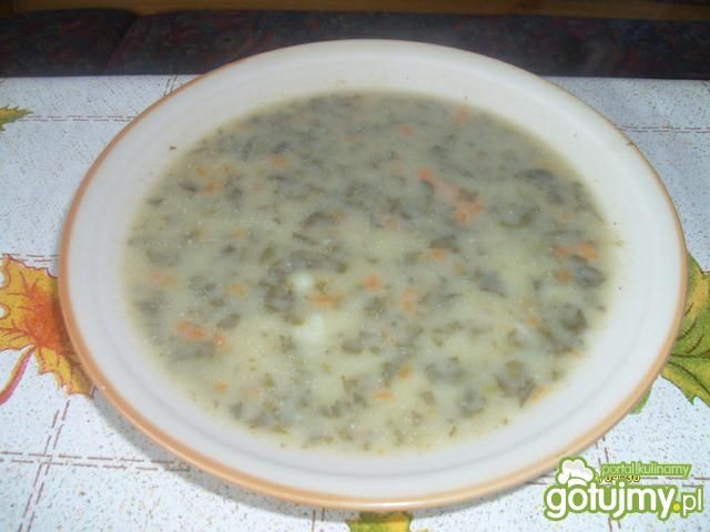 Zupa szczawiowa z ziemniakami Zupa szczawiowa z ziemniakami