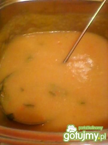 zupa w kolorze pomarańczy zupa w kolorze pomarańczy