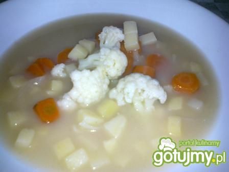 Zupa warzywna 5 Zupa warzywna 5
