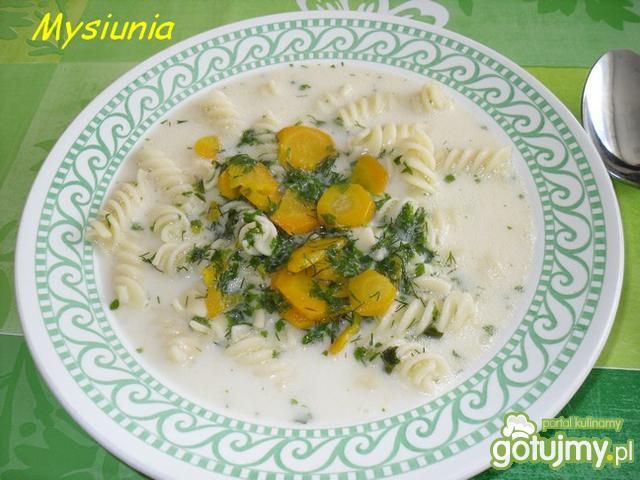 Zupa warzywna z makaronem