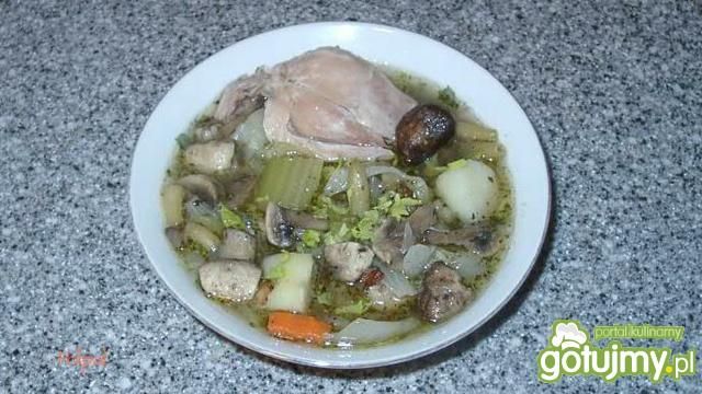 Zupa Warzywna z Pieczarkami Zupa Warzywna z Pieczarkami