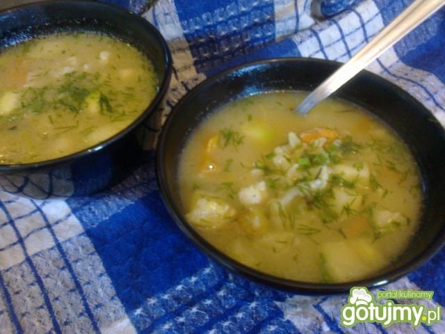 Zupa warzywna ze smażoną cukinią Zupa warzywna ze smażoną cukinią