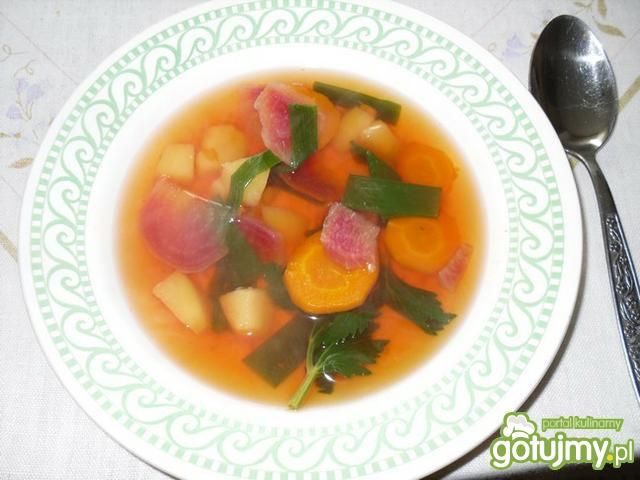 Zupa wielowarzywna  Zupa wielowarzywna