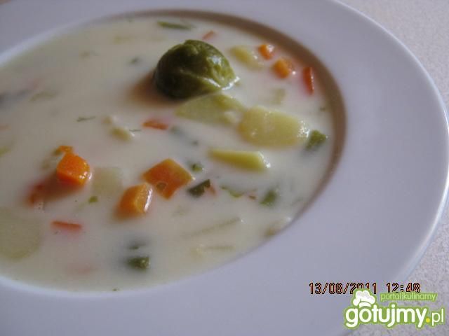 Zupa wielowarzywna. Zupa wielowarzywna.