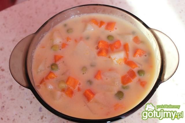 Zupa wiosenna 2 Zupa wiosenna 2