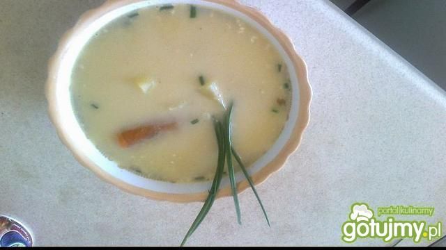 Zupa wiosenna 3 Zupa wiosenna 3