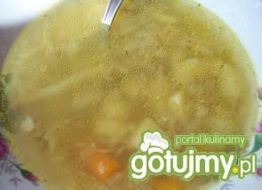 Zupa wiosenna 4 Zupa wiosenna 4