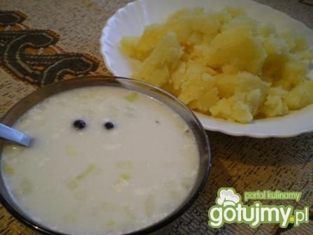 Zupa Woda śledziowa