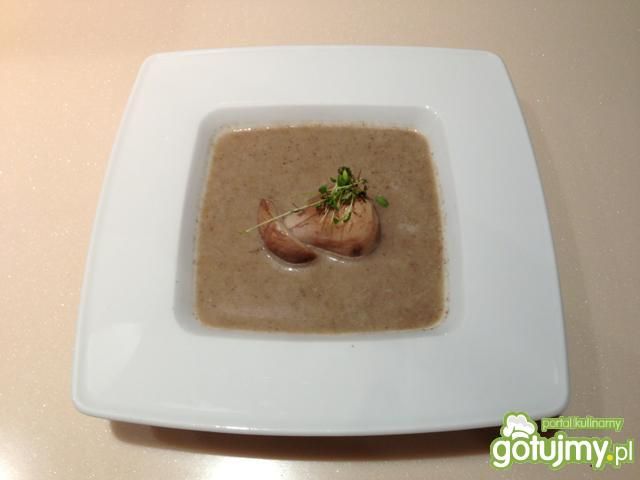 Zupa z borowikiem. Zupa z borowikiem.