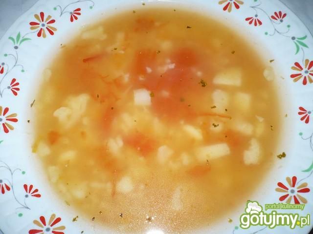 Zupa z brukwi1