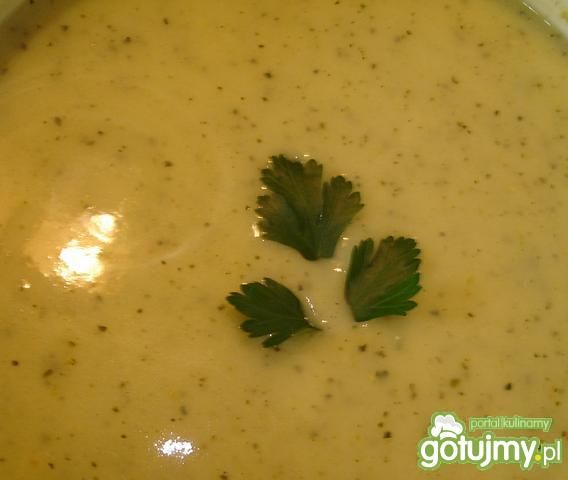 Zupa z cukinii. Zupa z cukinii.