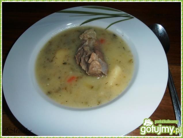 Zupa z cukinii i czosnku Zupa z cukinii i czosnku