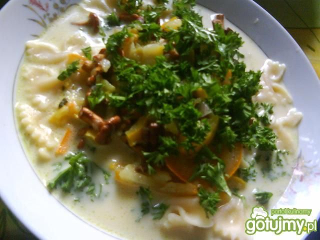 Zupa z cukinii i kurek