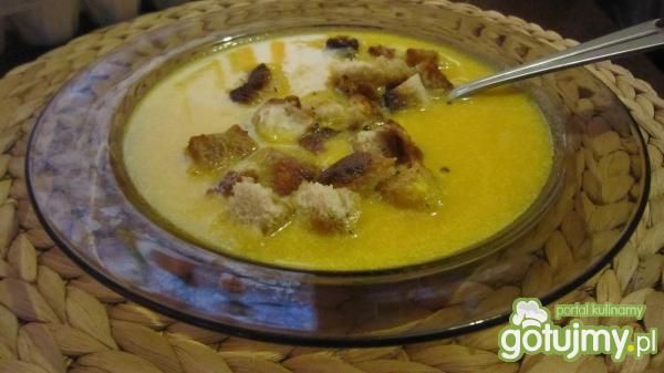 Zupa z dyni Zupa z dyni