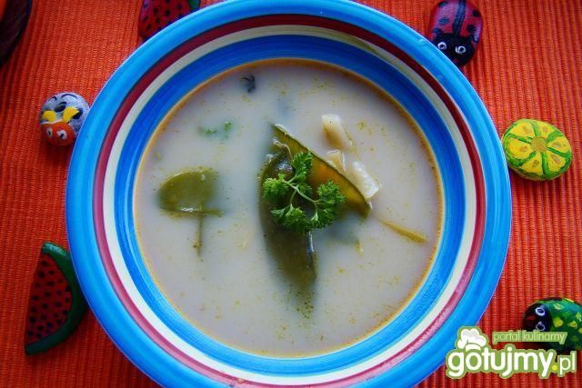 Zupa z groszku cukrowego i fasolki Zupa z groszku cukrowego i fasolki