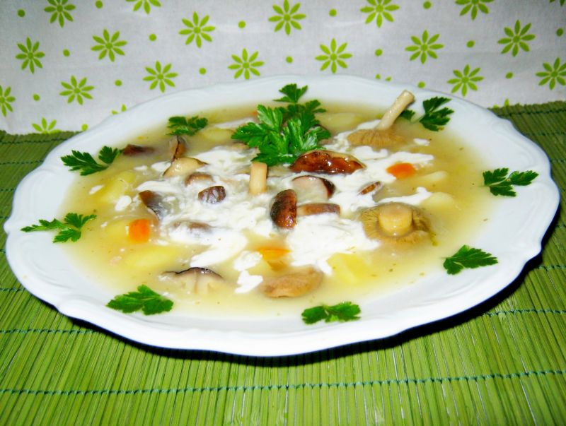 Zupa z grzybami Zupa z grzybami