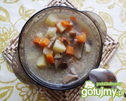 Zupa z grzybów leśnych