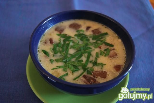 Zupa z grzybów leśnych Zupa z grzybów leśnych