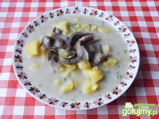 Zupa z grzybów leśnych z koperkiem Zupa z grzybów leśnych z koperkiem