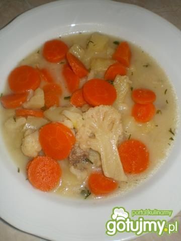 Zupa z kalafiora i marchwi