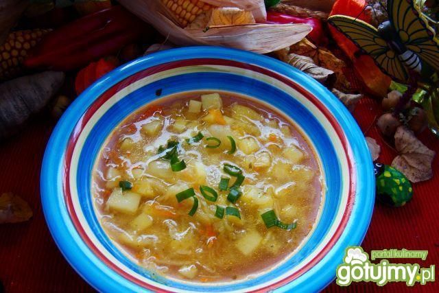 Zupa z kiszonej kapusty z dymką  Zupa z kiszonej kapusty z dymką