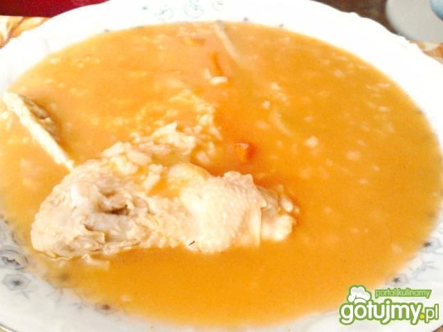 Zupa z koncentratu pomidorowa Zupa z koncentratu pomidorowa