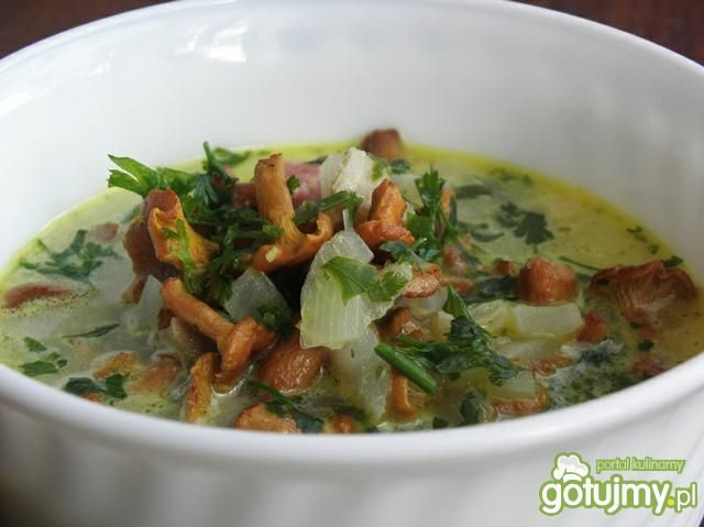 Zupa z kurek.