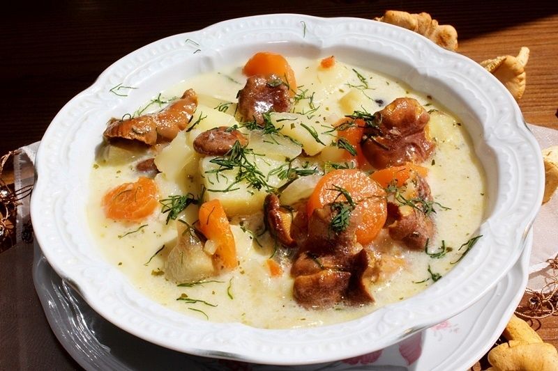 Zupa z kurek (kurkowa) Zupa z kurek (kurkowa)