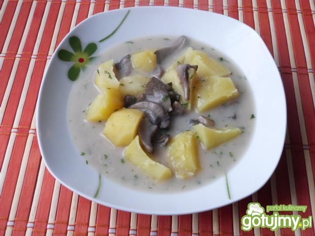 Zupa z leśnych grzybów  Zupa z leśnych grzybów