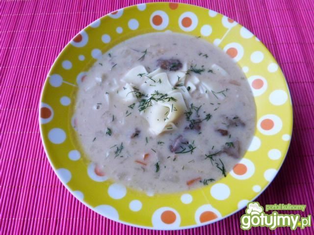 Zupa z leśnych grzybów z łazankami