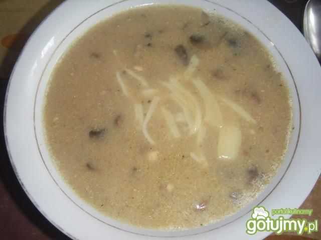 Zupa z mięsem mielonym