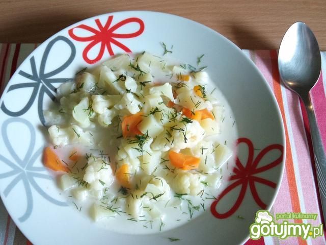 Zupa z młodego kalafiora z koperkiem Zupa z młodego kalafiora z koperkiem