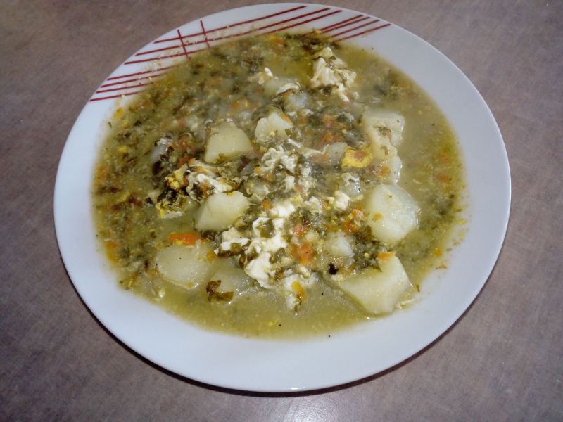 Zupa z młodego szczawiu