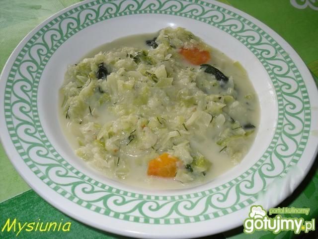 Zupa z młodej kapusty  Zupa z młodej kapusty