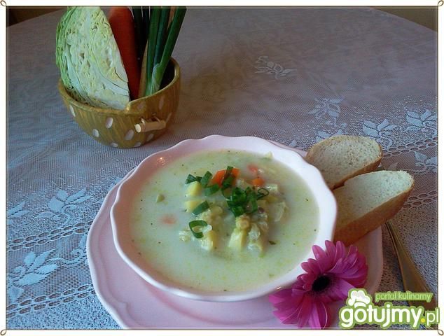 Zupa z młodej kapusty i fasolki szparag.