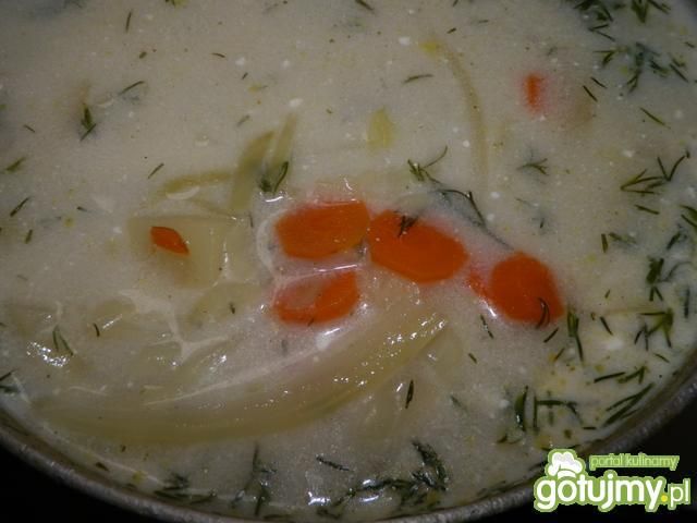 Zupa z młodej kapusty z koperkiem  Zupa z młodej kapusty z koperkiem