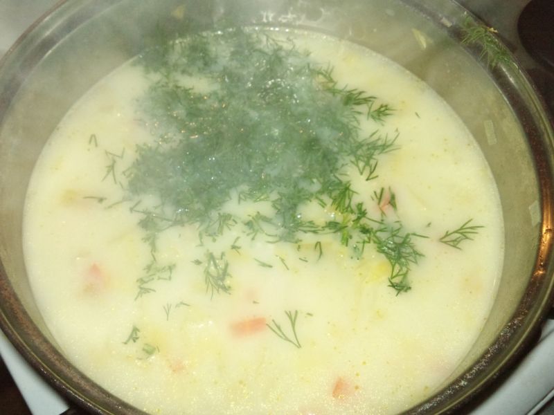 Zupa z młodej kapusty z rabarbarem